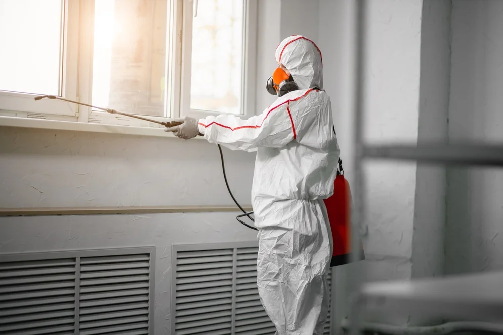 Professional mold remediation services in Concord, NH